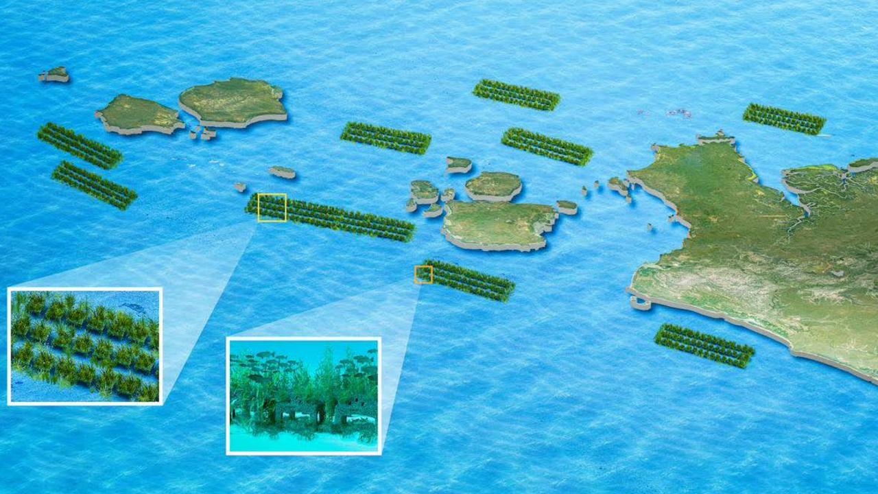 Blue water dreaming: Vision for $1bn Torres Strait Reef Regeneration Plan