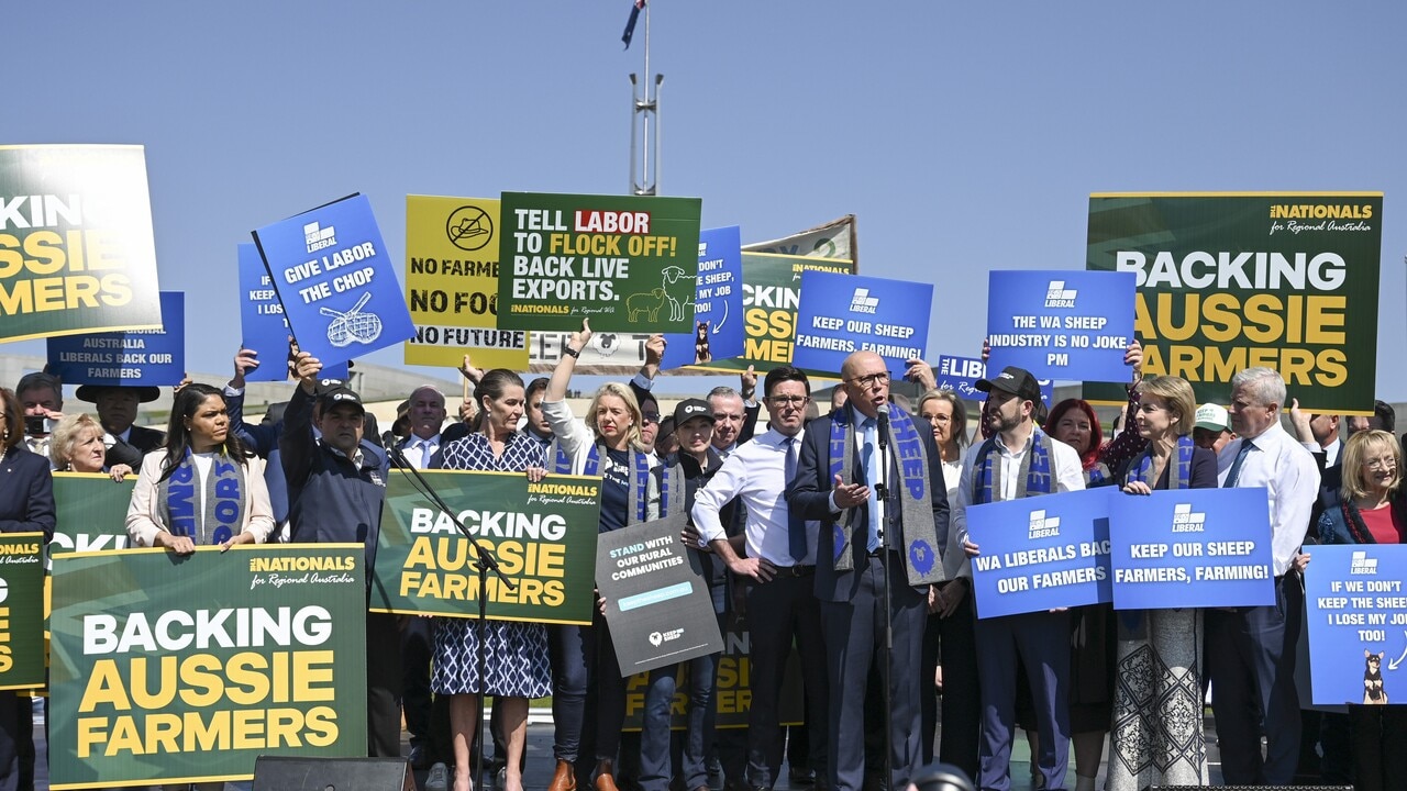 ‘Frustration is real’: Farmers protest against Labor’s policies ‘decimating’ agriculture