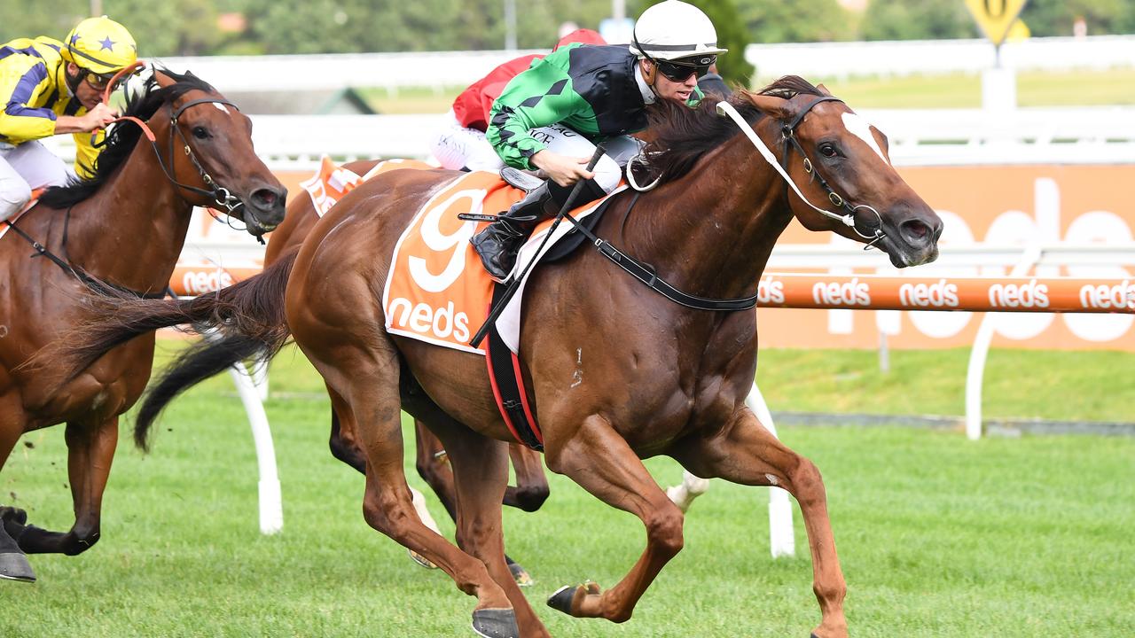 Consistent sprinter Ginger Jones is a $14 chance to add another win to his consistent first-up record at Caulfield on Saturday. Picture : Racing Photos via Getty Images.