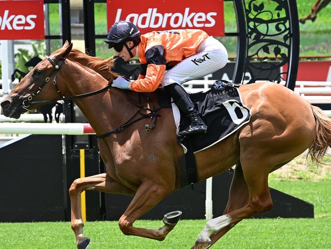 Stuart Kendrick trained filly Dushenka, pictured when winning on debut at Eagle Farm in January. Picture: Grant Peters, Trackside Photography.