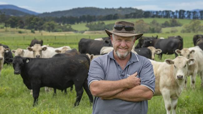 Leon Schreiber with his Angus and Charolais cattle. Picture: Zoe Phillips