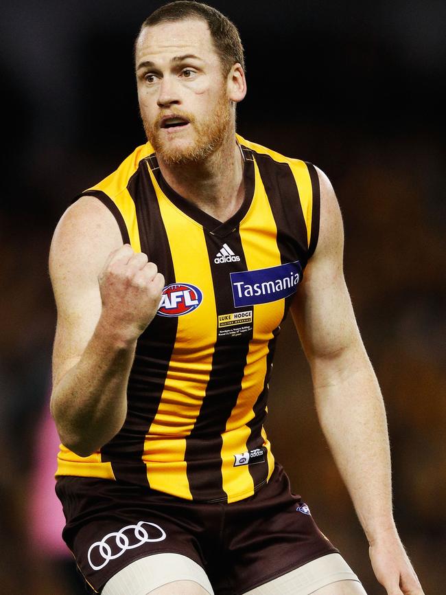 Jarryd Roughead and the Hawks are well placed for a return to the finals.