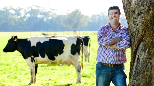 Mooving forward: Warakirri Dairies boss Ben James on a dairy farm in western Victoria.