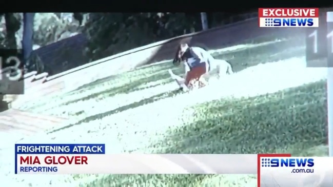 Mum shields 4-year-old daughter from dog attack. Video: Nine News Queensland