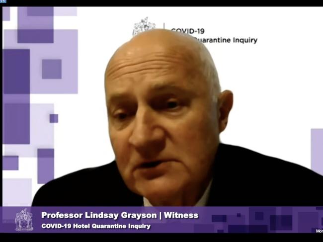 Professor Lindsay Grayson giving evidence to the inquiry.