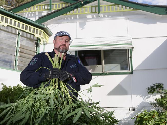 Sergeant Cameron holding plants at hydroponic house next to Bankstown West Public School in June 2017.