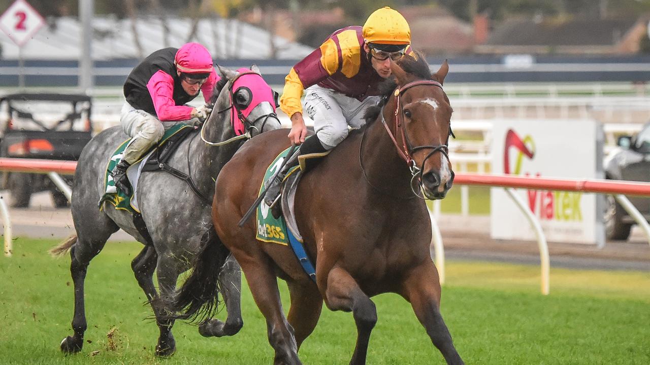 Orphan foal Jack Of It has earned another chance at metropolitan level at Sandown on Wednesday. Picture : Racing Photos via Getty Images.