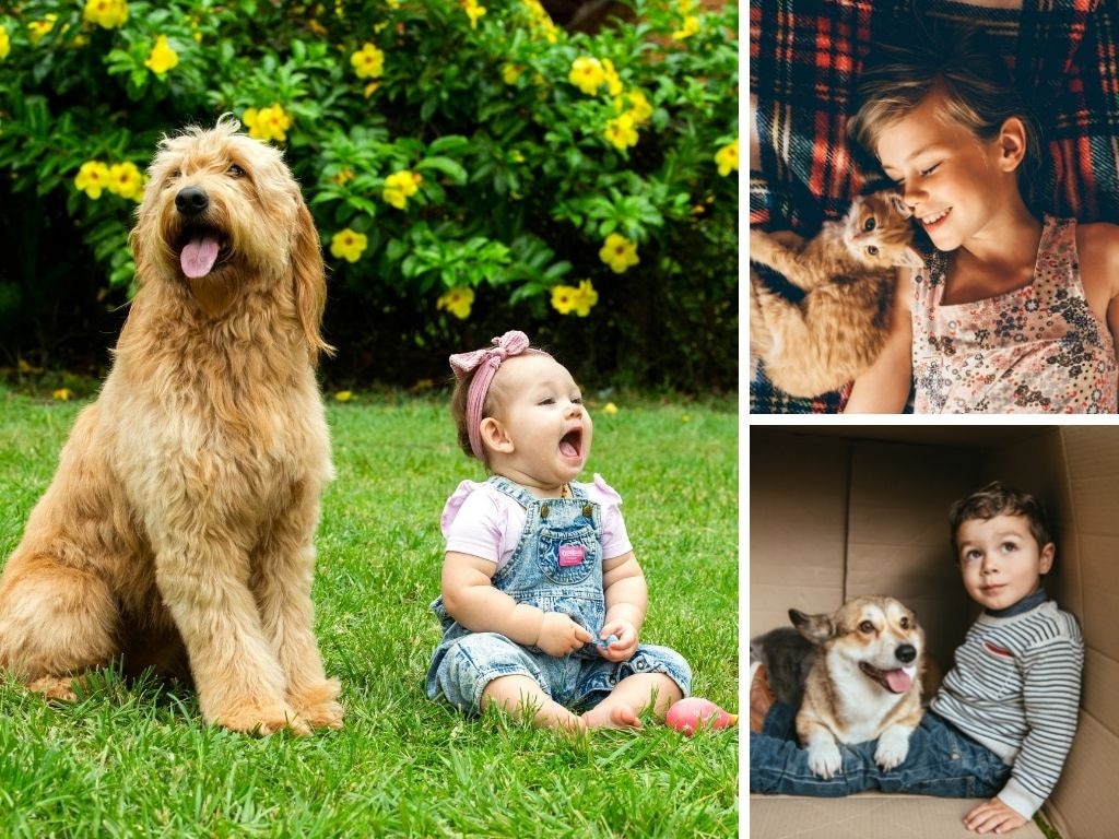 What your pet is really teaching your kids