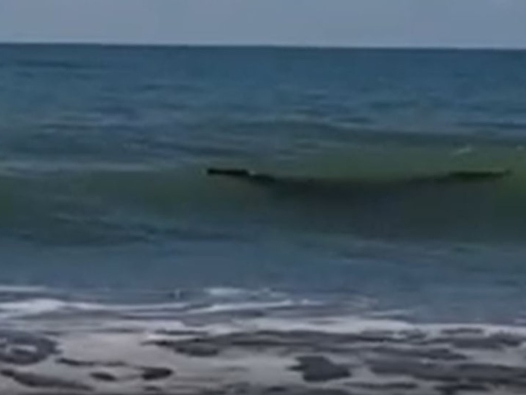 A large crocodile has been spotted in the shallow waters of a popular swimming and surfing beach in central Queensland. Picture: 7 NEWS