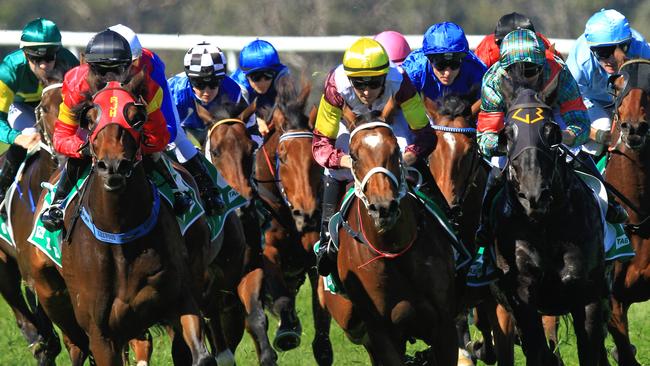 Racing in New South Wales on Friday is at Ballina and Gosford.