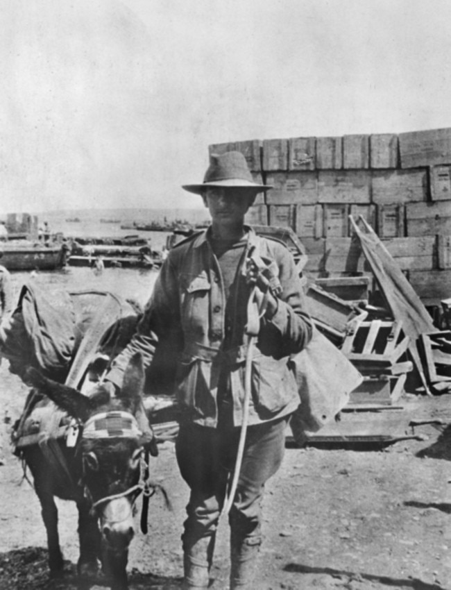 Details about   KING & COUNTRY GALLIPOLI 1915 GA006 ANZAC SIMPSON & HIS DONKEY 