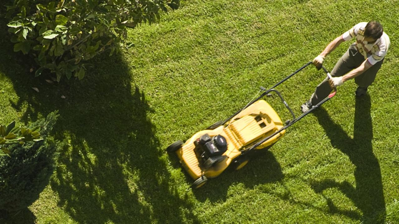 6 Best Petrol Lawn Mowers To Buy In Australia In 2021 — Australia’s leading news site