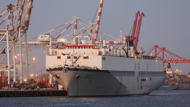 The Al Messilah livestock ship remains in Fremantle. Picture: Paul Kane/Getty Images