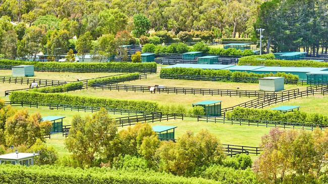 A look inside Lloyd Williams’ Macedon Lodge complex.