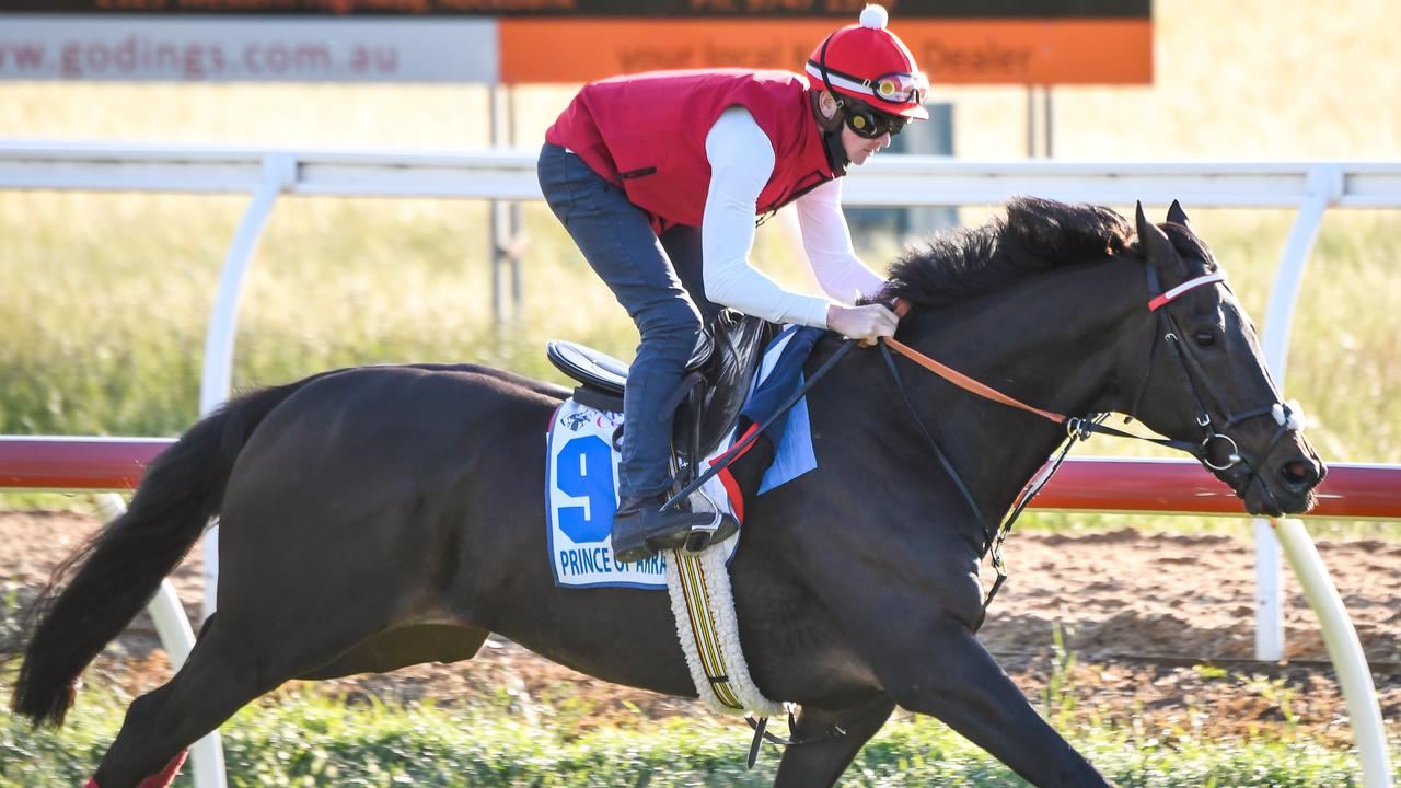 Werribee trackwork