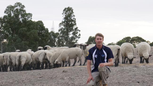 Dedication: Mat Hill on the Merino and Hampshire sheep farm at St Helens Plains in the Wimmera, home to Aurora Park and Burrandool Stud.