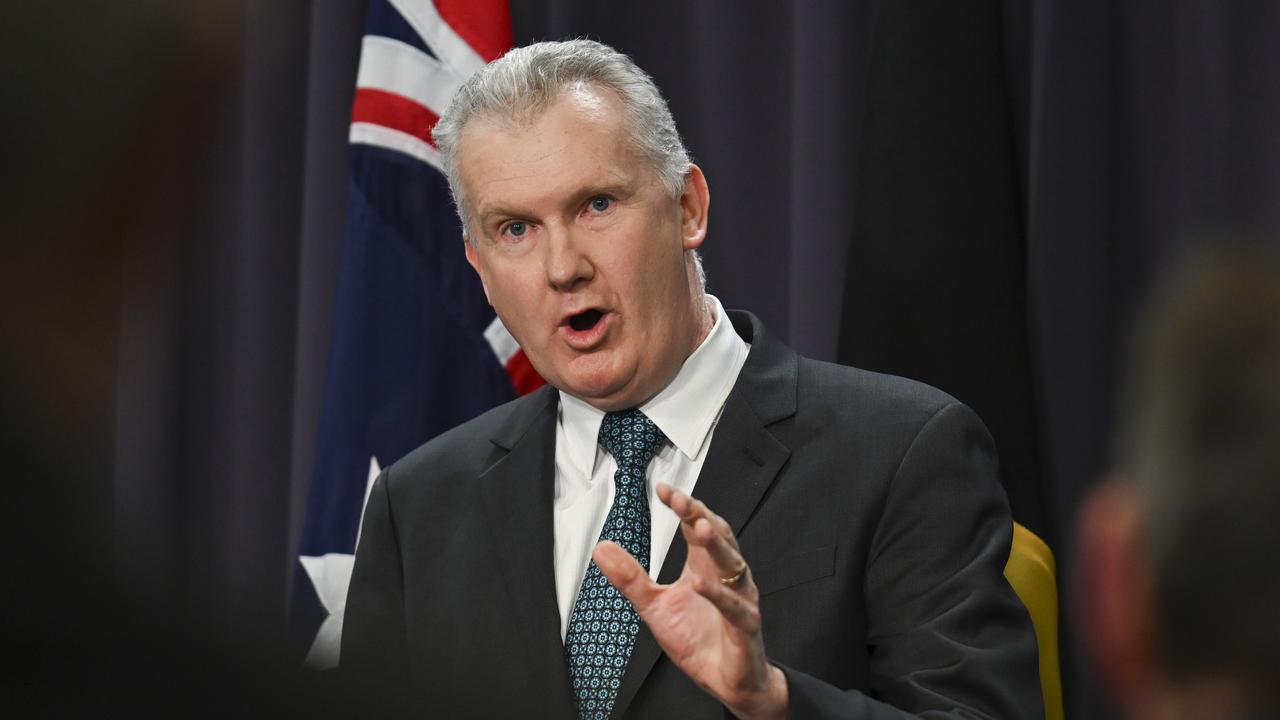 Home Affairs Minister Tony Burke said he cannot stop the Opposition “making things up”. Picture: NewsWire / Martin Ollman