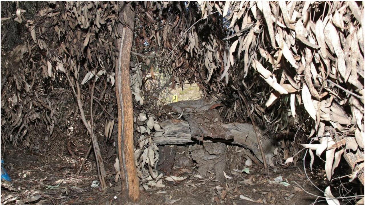 Inside one of the sniper hides at the property made out of logs, branches and leaves.