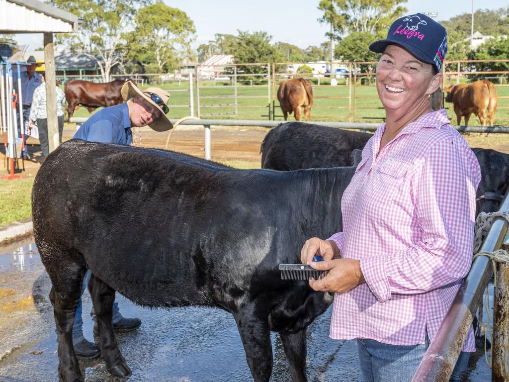 Les and Leanne Lee prepare their Limousin cattle for the 2022 Toowoomba Royal Show. Friday, March 25, 2022. Picture: Nev Madsen.