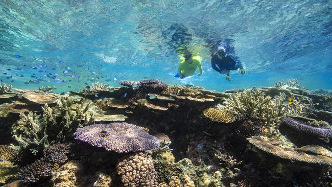 Snorkelling on the Great Barrier Reef. Picture: Supplied