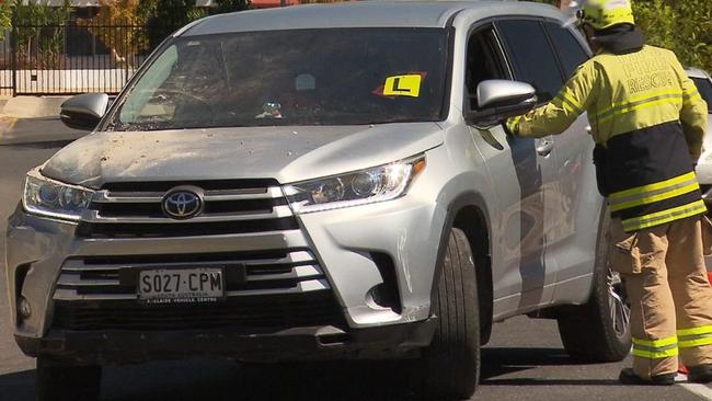 A driving lesson has taken a wrong turn with an L-plater crashing into the front yard of a Clovelly Park home. Picture: 7NEWS