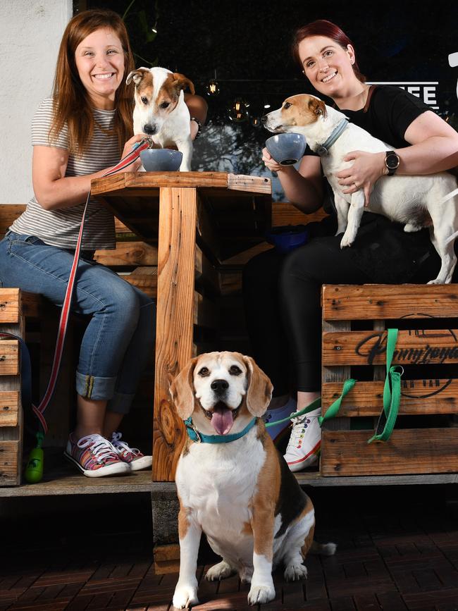 Helzi &amp; Beans cafe owner Carlie Sherwood and cafe manager Samara Foord with dogs Frasier, Eddie and Buster out front of the dog friendly cafe. Picture: Tricia Watkinson