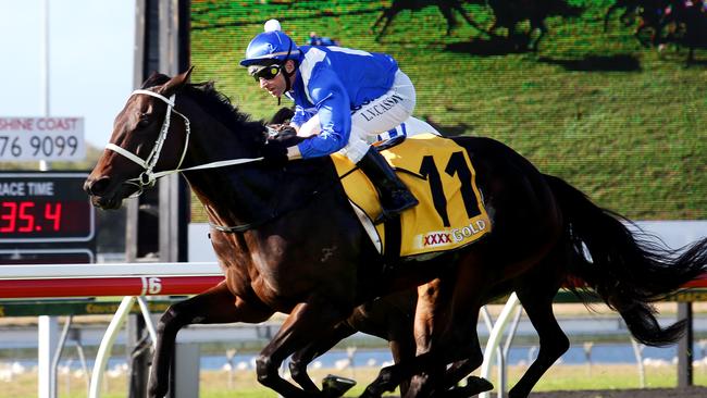 Larry Cassidy winning Race 5 on "Winx" at the Caloundra Cup Day at Corbould Park Racecourse. Pics Tara Croser.