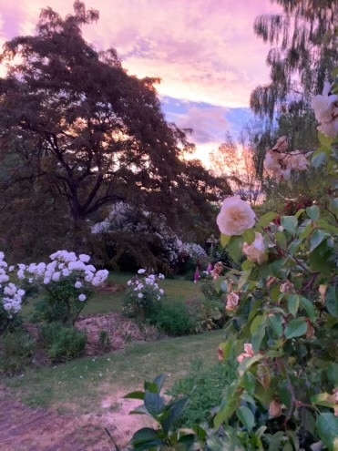Rosedown at New Norfolk. Picture: Ian Triffitt. Your Focus on Tasmania **ONE TIME USE ONLY**