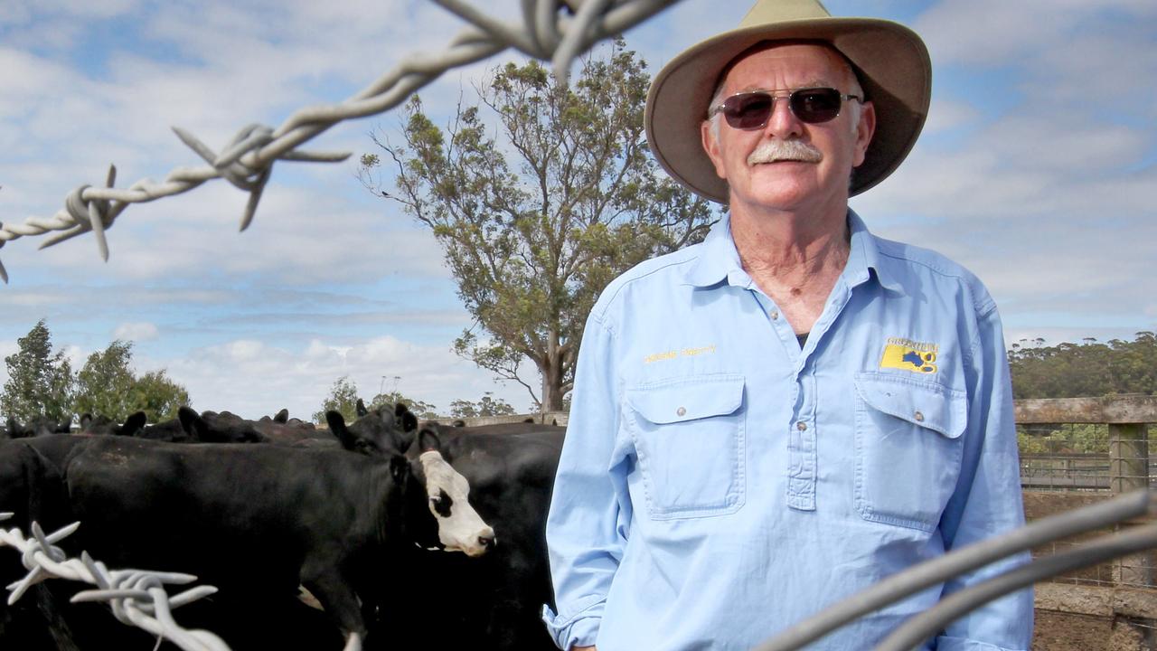 Chopper prices: Cattle market veteran says profit margins extraordinary ...