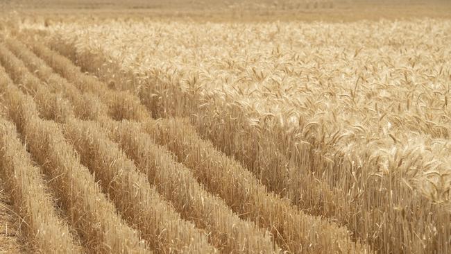 Harvest has finished early for many grain growers. Picture: Zoe Phillips