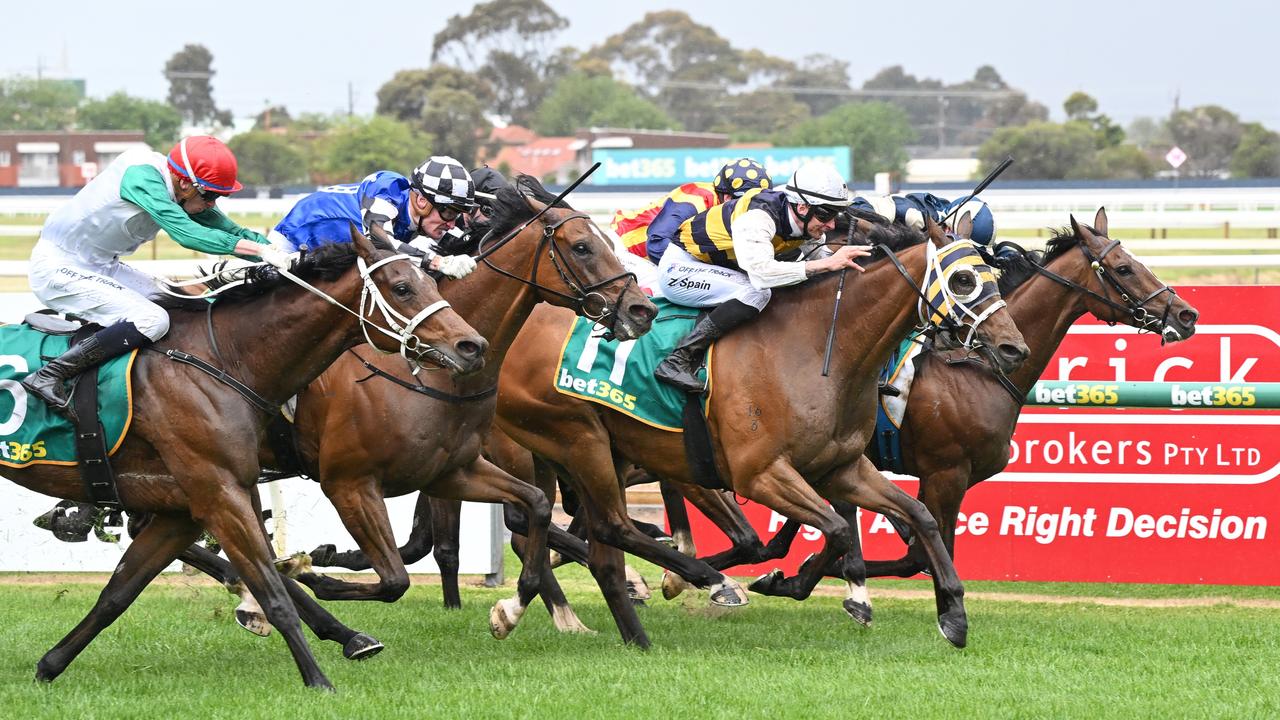 Geelong Cup 2023: Live updates, form guide, betting odds from the ...