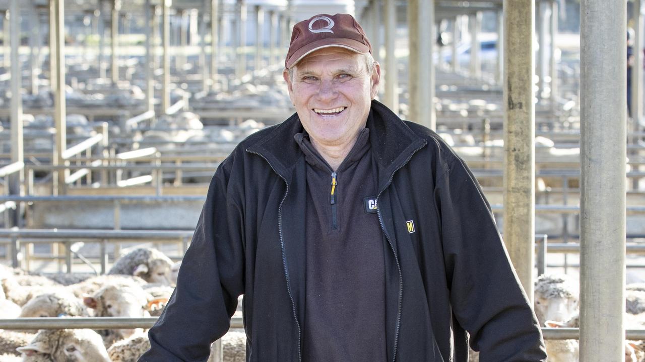 Merino lamb price a ‘good surprise’ at Bendigo