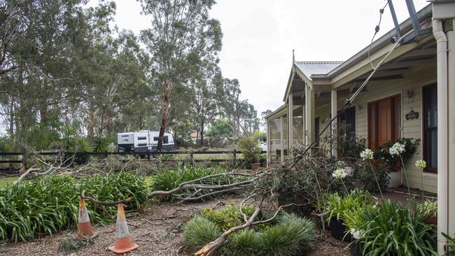 Massive branches fell just inches from this family’s front door. Picture: NewsWire / Simon Bullard.