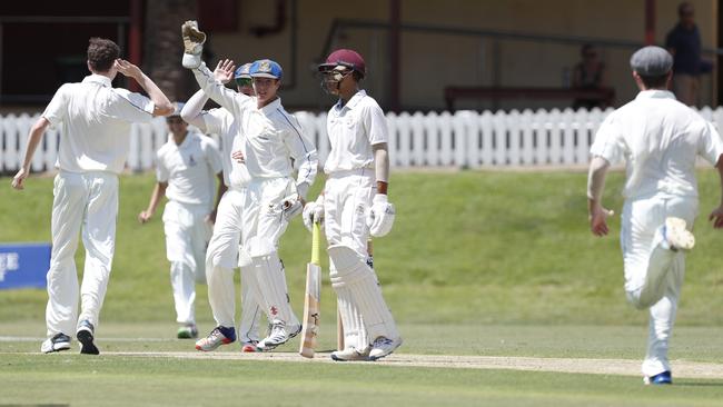 Pat Rankin of Churchie celebrates with team mates taking the wicket of Lachlan Mark. (AAP Image/Regi Varghese)