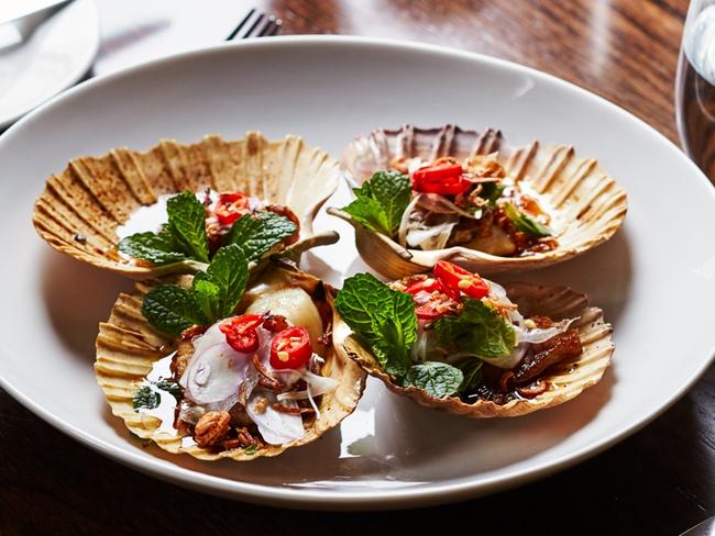 Seared Scallops with roasted pork belly, tamarind and palm sugar dressing, spearmint at Lamaro's Hotel in South Melbourne. Picture: Marina Oliphant.