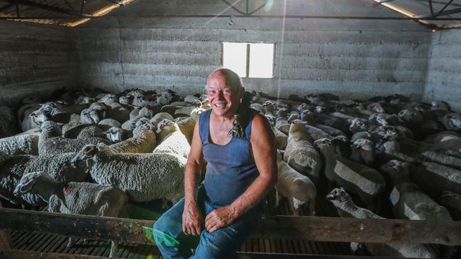 Shearer John Todd at his farm 'Kooreela' near Coonalpyn. Picture: Tait Schmaal