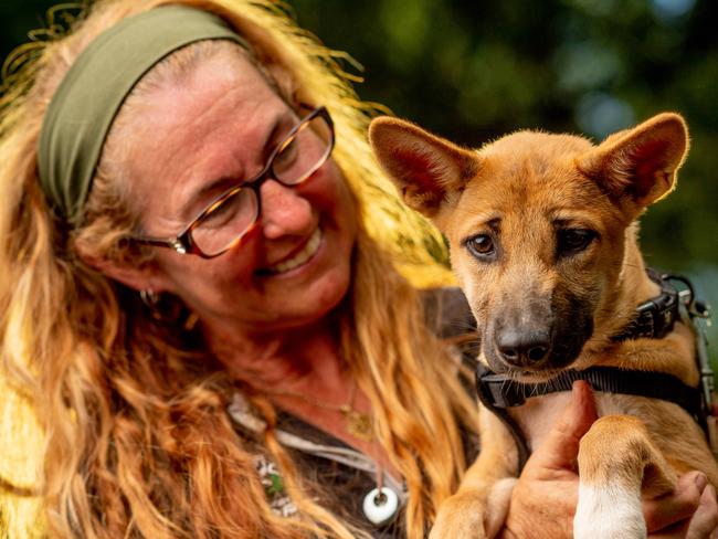 Baby Dingo Leia, pictured with zoo keeper Donna Jensen, is one of the newest additions to Territory Wildlife Park. Picture: Che Chorley