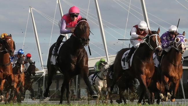 Tommy Berry and Trumbull salute at Rosehill Gardens in June.