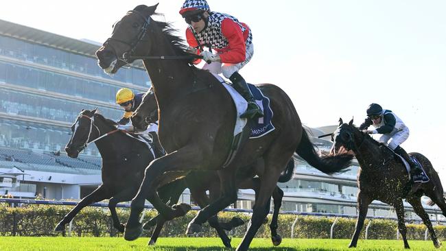 Saracen Knight will be out to repeat his impressive last-start win in the Group 2 Herbert Power Stakes. Picture: Racing Photos via Getty Images