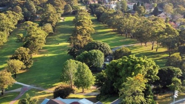 A photo of trees at the site, prior to construction work beginning.