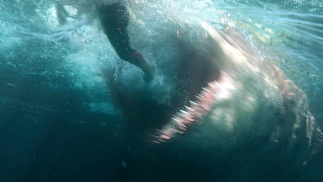 The Meg, megalodon sharks: the truth explained   — Australia's  leading news site