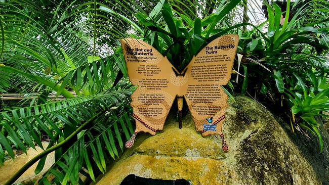 The Australian Butterfly Sanctuary is one of the most amazing places to visit in the Cairns region. Picture: Danica Clayton