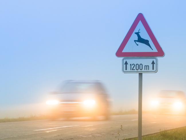 Cars pasing a traffic sign for deer crossing in fog