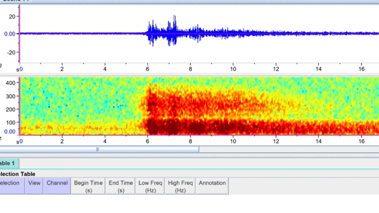 Titan sub implosion audio has been released by the US Coast Guard.