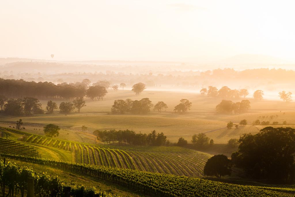 13 best Hunter Valley wineries to visit in 2022 GQ Australia