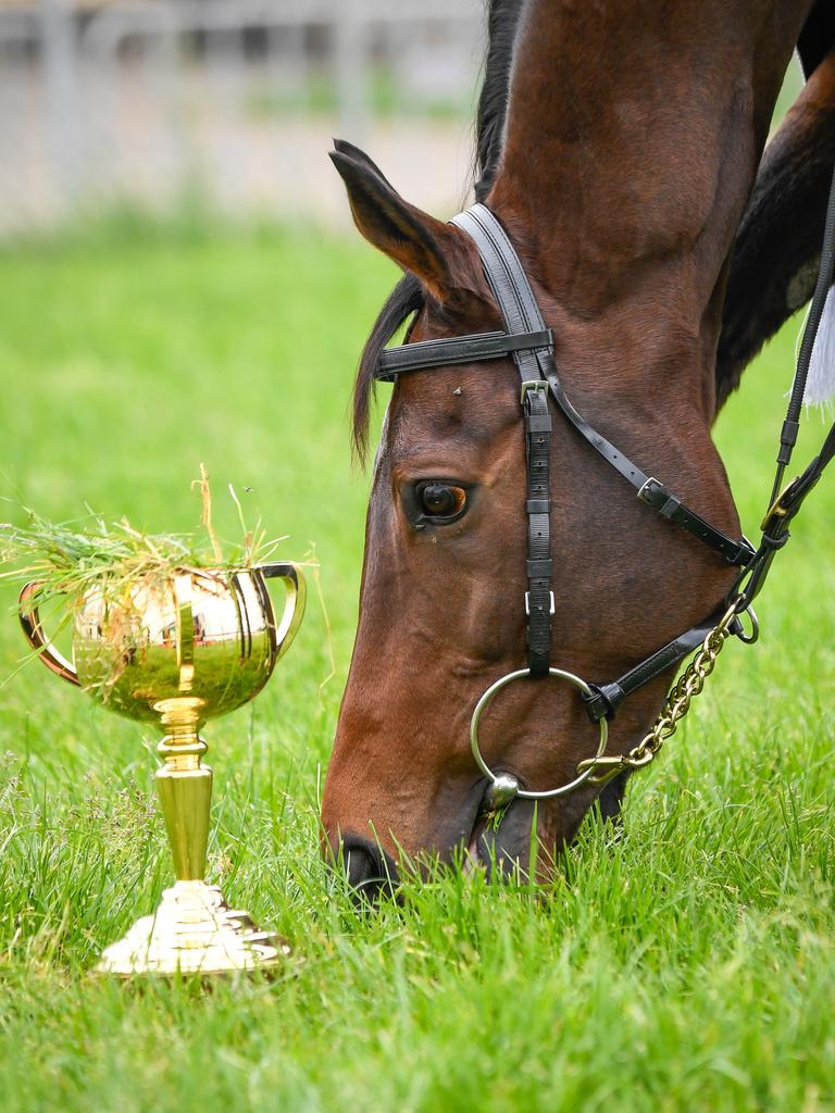 Melbourne Cup winner Twilight Payment. Picture: Reg Ryan/Racing Photos via Getty Images