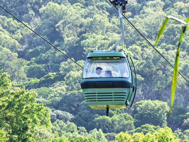 A Skyrail rainforest cableway gondola sails above the rainforest canopy on the Macalister Range National Park at Smithfield. Picture: Brendan Radke