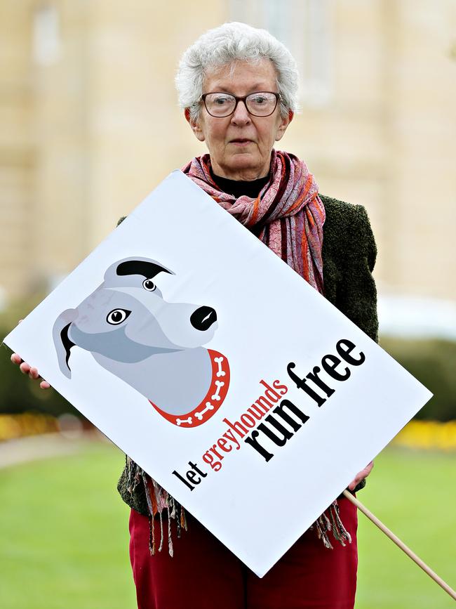 Co-ordinator of Let Greyhounds Run Free, Fran Chambers, outside Parliament House. Picture: Richard Jupe