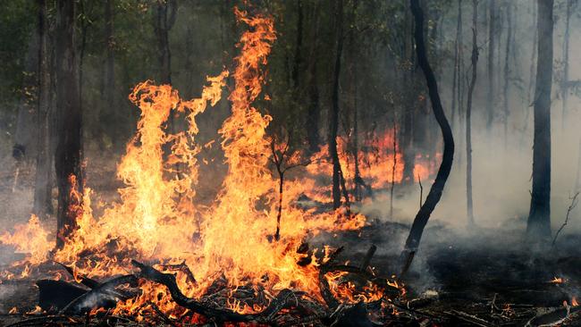 Queensland Fire and Emergency Services crews are on scene at a grass fire burning near Stanage Bay Rd, Stanage. Picture: David Nielsen