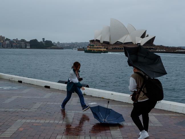 SYDNEY, AUSTRALIA - NewsWire Photos MAY 11 2024. People brave the weather to sightsee around the opera house & harbour bridge. Wild weather will continue to batter NSW, with unrelenting rain that has lingered over Sydney forecast to stick around, and severe thunderstorms predicted over the weekend. Picture: NCA NewsWire / Max Mason-Hubers